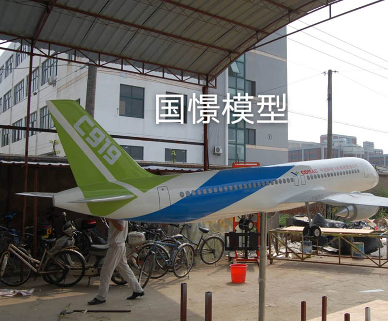 乐业县飞机模型